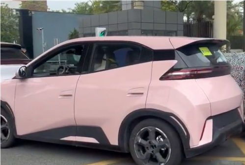 比亞迪海鷗汽車多少平方