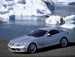 slr汽車多少錢 slr汽車多少錢