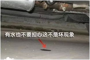 汽車剎車水多少升