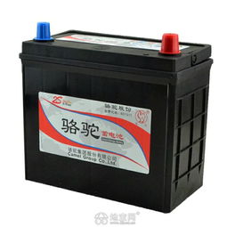 汽車電瓶修復(fù)多少伏