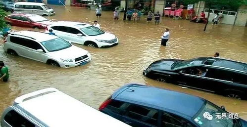 河南水災(zāi)汽車有多少