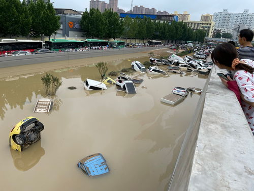 河南水災(zāi)汽車有多少