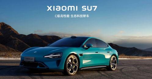rosws汽車多少錢
