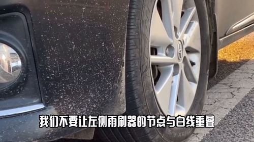 汽車多少目水砂布