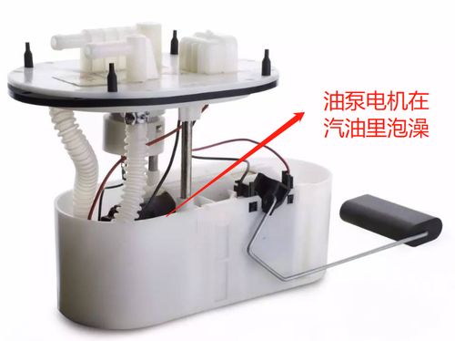 汽車加油每天多少升