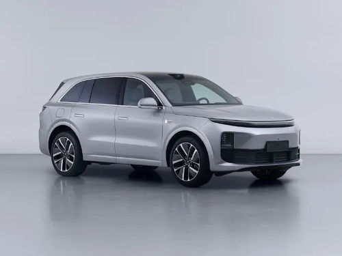 理想汽車視力要求多少