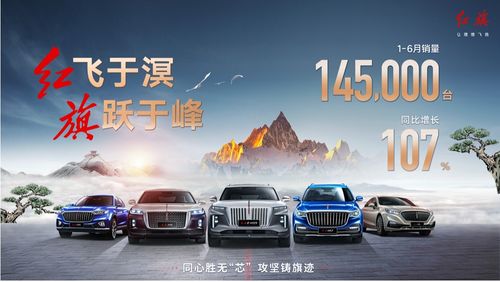 紅旗汽車超員罰款多少
