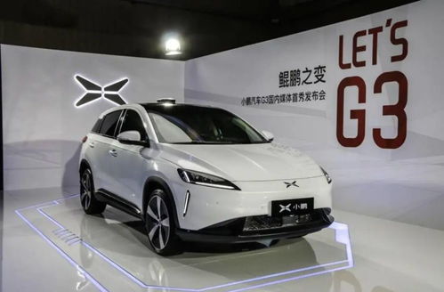 小鵬汽車 賠付多少