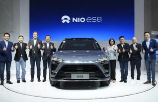 蔚來汽車多少億